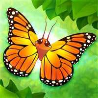 Flutter Butterfly Sanctuary