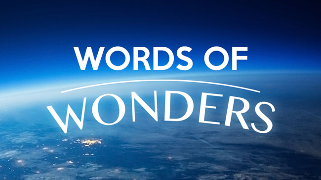 Поиск слов word of wonders